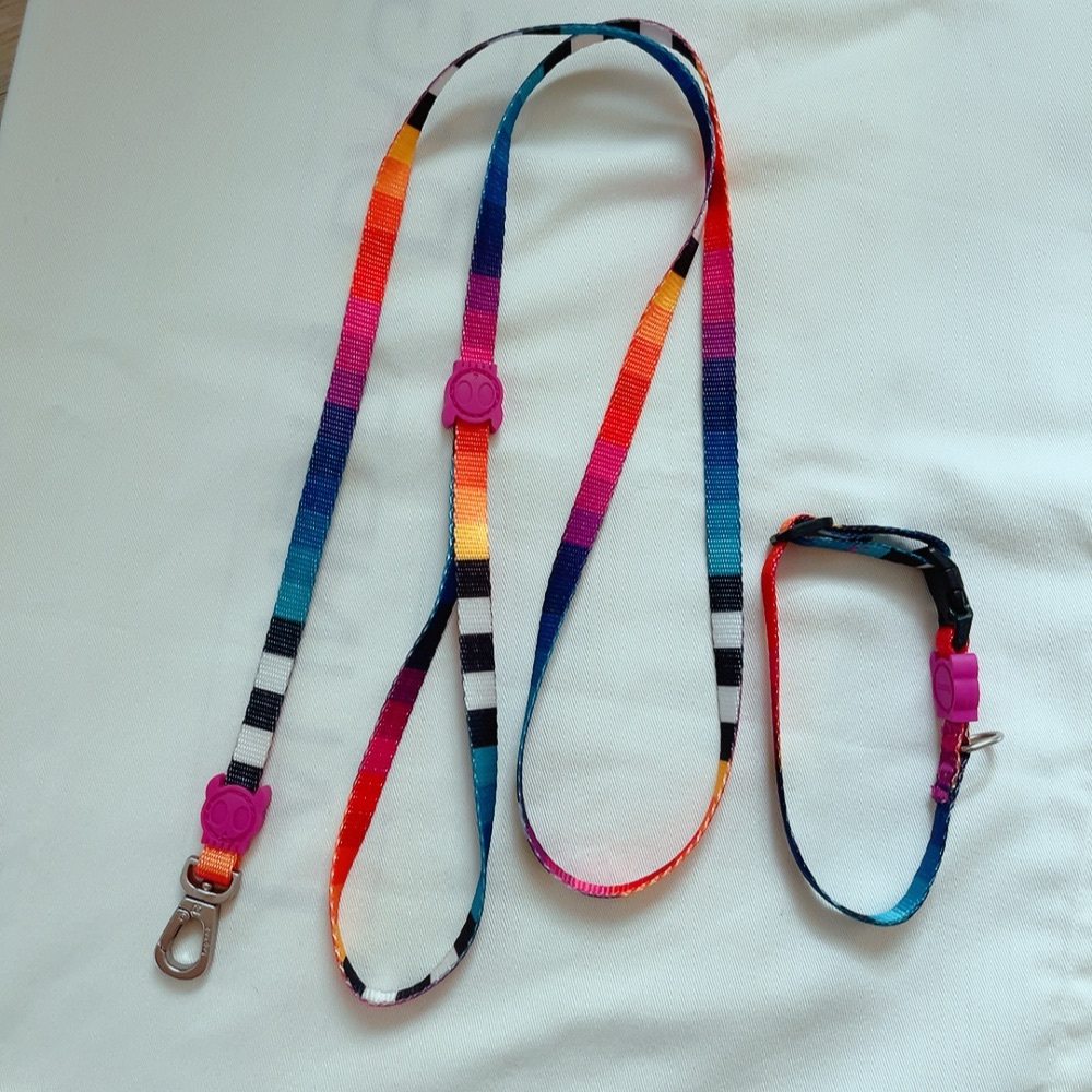 Dog’s collar & leash
